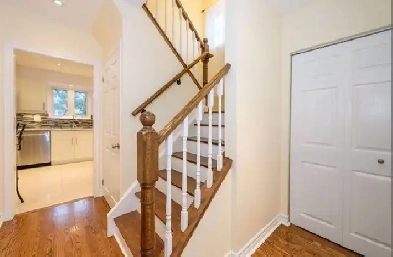 North York near York University 1 sunny bedroom rent girl