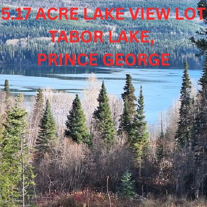 5.17 ACRE LAKE VIEW PROPERTY AT TABOR LAKE
