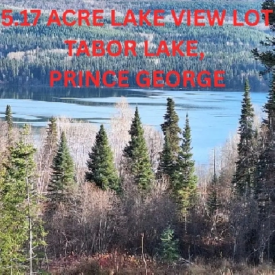 5.17 ACRE LAKE VIEW PROPERTY AT TABOR LAKE
