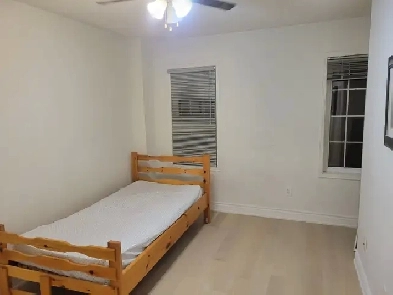 Room for Rent / York Uni. Village / North York