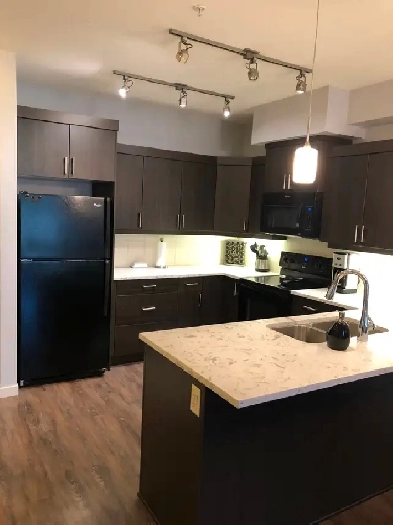 1 Bedroom 1 Bathroom Condo