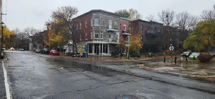 10 1/2 à louer (Hechelaga-Maisonneuve)