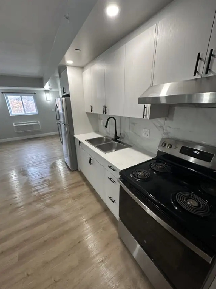 New One Bedroom Available Nov & Dec in Minnow Lake