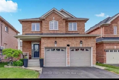 One bedroom basement for rent