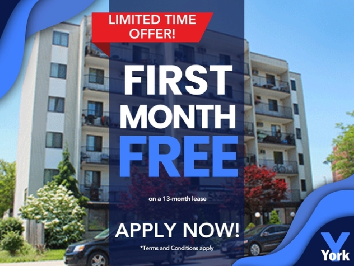 BEAUTIFUL 1 BEDROOM APARTMENT AVAILABLE