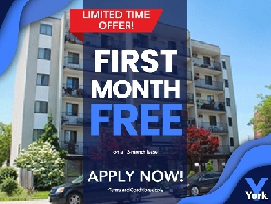 BEAUTIFUL 1 BEDROOM APARTMENT AVAILABLE