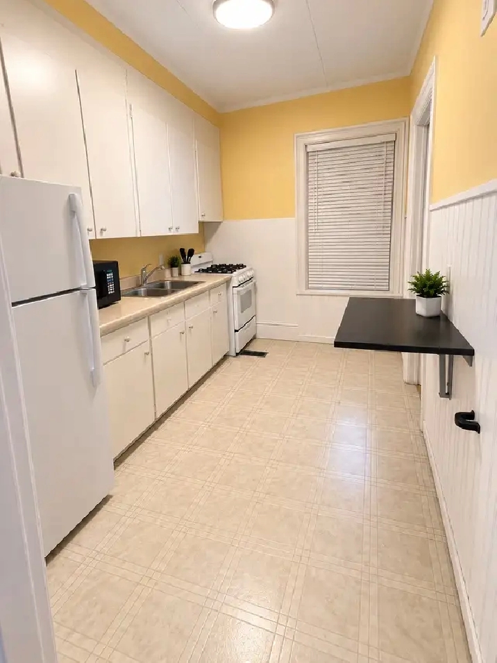 roommate wanted