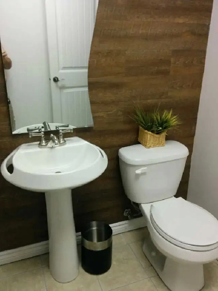 Photo 5
