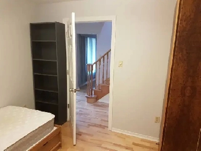 Ground Fl Room for Rent near UTSC/ Centennial Morningside
