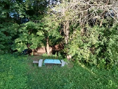 Room 4 Rent - Aurora
