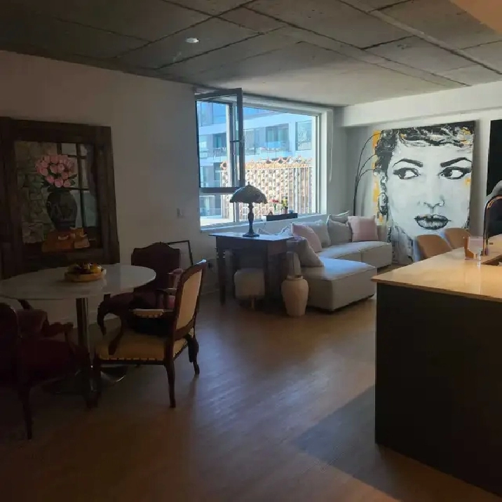 Griffintown studio très grand lumineux